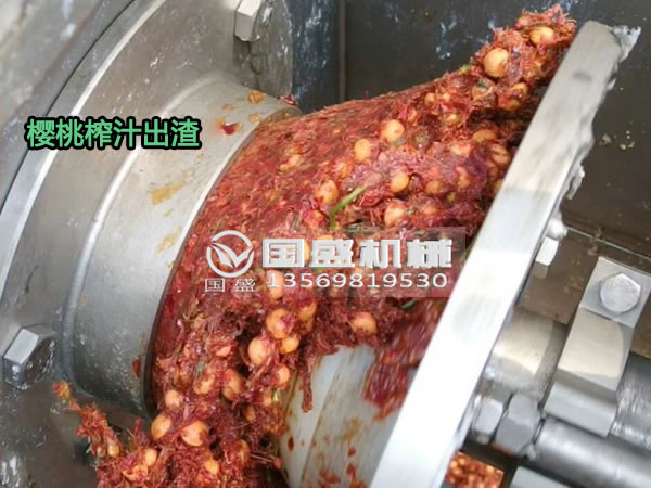 國盛櫻桃螺旋壓榨脫水機(jī) 國盛櫻桃螺旋壓榨脫水機(jī)